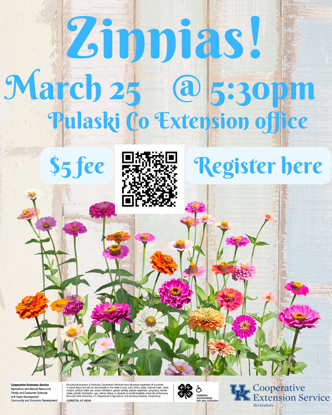 Zinnia flyer