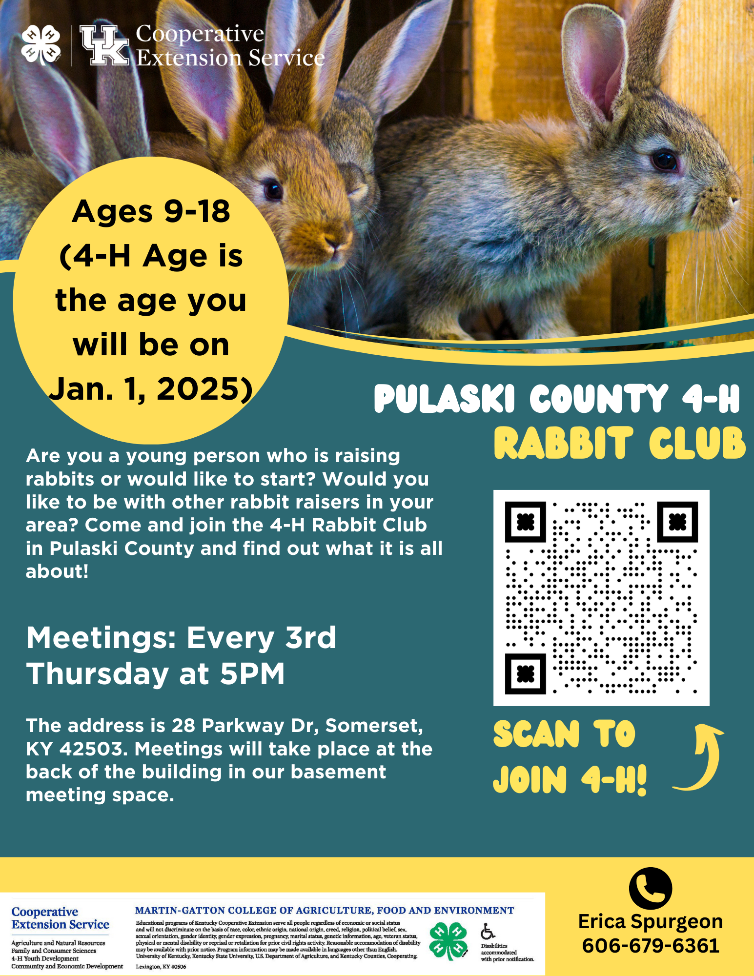 Flyer for Pulaski County 4-H Rabbit Club with images of brown rabbits. Monthly Meetings: Every 3rd Thursday at 5PM. Contact: Erica Spurgeon 606-679-6361.