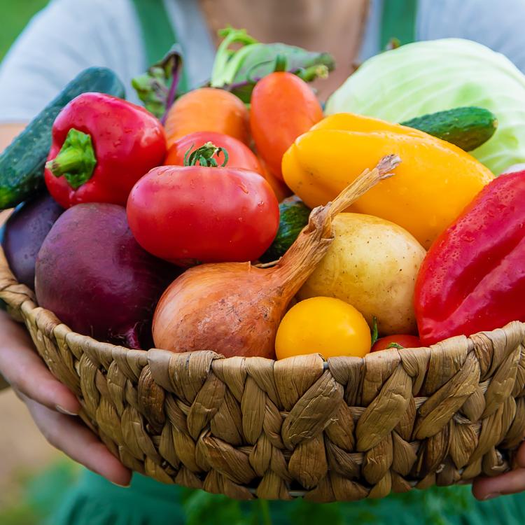  basket of fresh vegetables